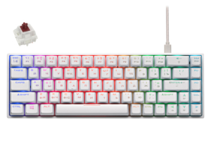 2E Gaming Keyboard KG380 RGB 68 Key Gateron Brown Switch WL White